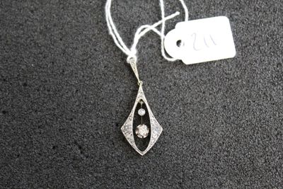 gros plan d'un collier auquel est attachée une étiquette
