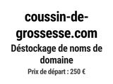 Photo 1/1 du lot