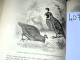 un livre sur lequel figure l'image de deux oiseaux