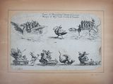 drawing of a group of animals in various stages of life