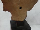 an image of a clay sculpture of a head on a black stand