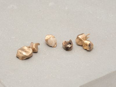 three different types of ear piercings sitting on a table