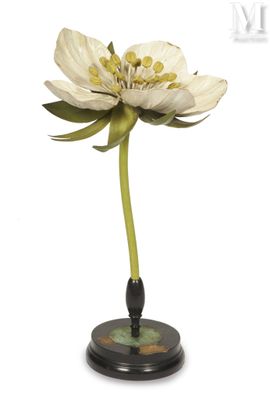 une fleur blanche posée sur un socle noir