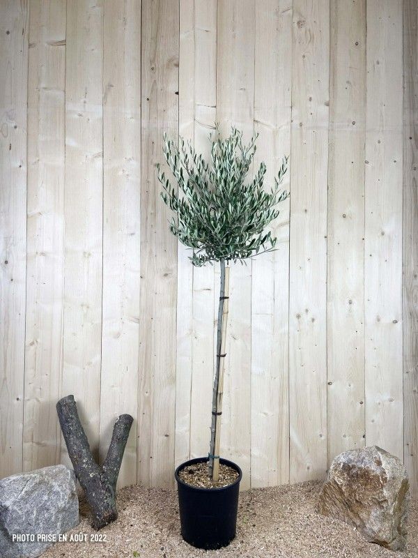 Destockage & Invendus