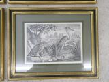 three framed pictures of birds and plants in a gold frame on a wall