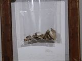 Photo 7/7 du lot