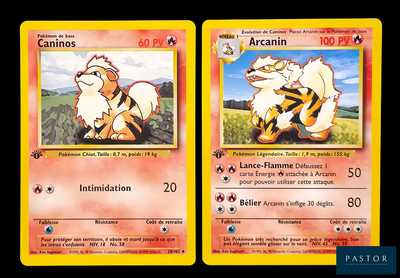deux cartes Pokémon sur lesquelles figurent un chat et un chien