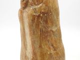 Photo 5/9 du lot
