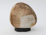 a small rock with a tag on it on a white surface