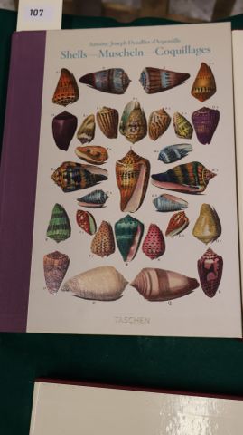 Antoine-Joseph DEZALLIER d’ARGENVILLE ; Shells-Muscheln-Coquillag...