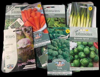 de nombreux sachets de graines de différents légumes sur la table