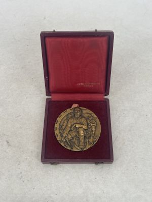 an image of a gold medal in a red box on a white surface
