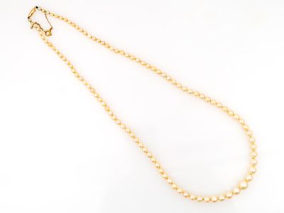 un collier en or orné de perles sur fond blanc