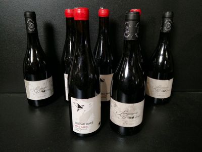 Lot de 7 bouteilles de vin rouge : 4 Mas Amiel Oiseau Rare 2… - Photo 1