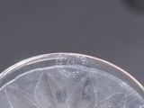 a close up of a glass of water on a table