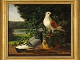 painting of two pigeons sitting on a ledge next to a potted plant