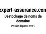 Photo 1/1 du lot