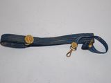blue and white striped dog leash with a gold buckle