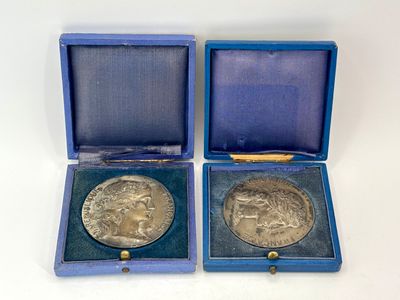 deux médailles d'argent dans une boîte bleue posée sur un fond blanc