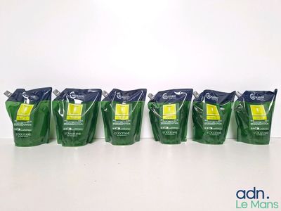 Six sachets de thé vert sont posés sur une table devant un mur blanc.