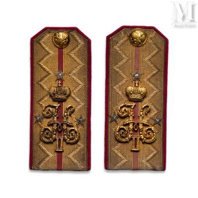 two gold and red military badges on a white background