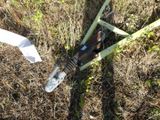 a pair of scissors that are laying in the grass
