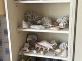 une armoire sur laquelle sont posés de nombreux coquillages