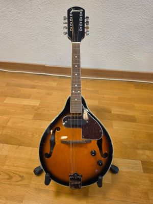 an image of a mandolin sits on a hard wood floor