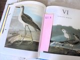 deux oiseaux perchés sur un livre