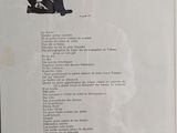 Photo 9/13 du lot