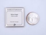 a silver eagle next to a quarter of a coin