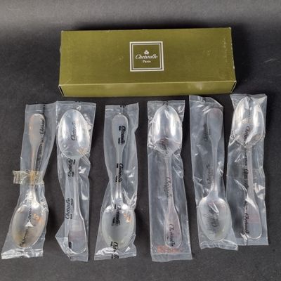cinq cuillères en argent et deux cuillères en argent dans des sachets en plastique