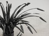a black and white photo of a plant in a vase