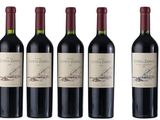 six bottles of red wine are lined up in a row