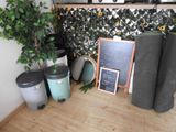 a plant in the corner of the room next to a blackboard