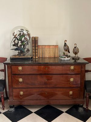 une commode surmontée d'un dôme en verre