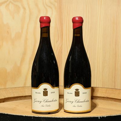deux bouteilles de vin posées sur un tonneau en bois