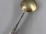 a silver spoon with a spoon handle on it