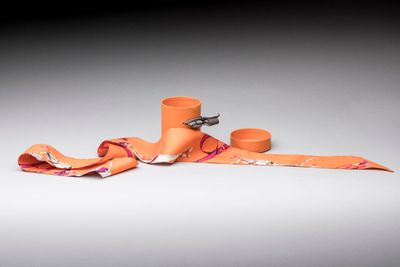 an image of a roll of toilet paper with a pair of scissors sticking out of it
