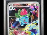 un gros plan d'une carte Pokémon dans un étui en plastique transparent