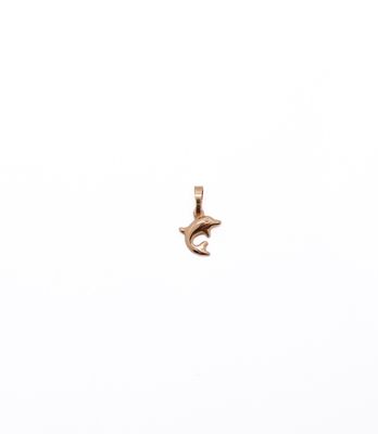 a bird that is flying in the sky with a white background