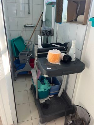 a cat that is sitting on a cart in the bathroom