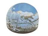 a picture of a painted egg with a mountain scene on it