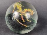 a glass ball with a picture of a horse inside of it