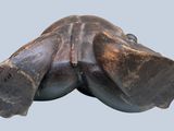 a sculpture of a frog that is sitting on a table