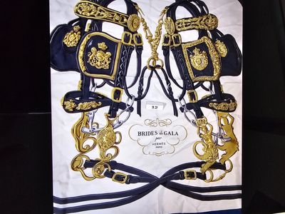 a picture of a picture of a horse ' s bridle and reins