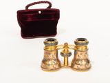 a pair of binoculars sitting next to a velvet bag