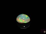 an oplite in the dark with a black background