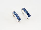 a pair of blue sapphire earrings on a white background