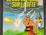 Photo 20/36 du lot